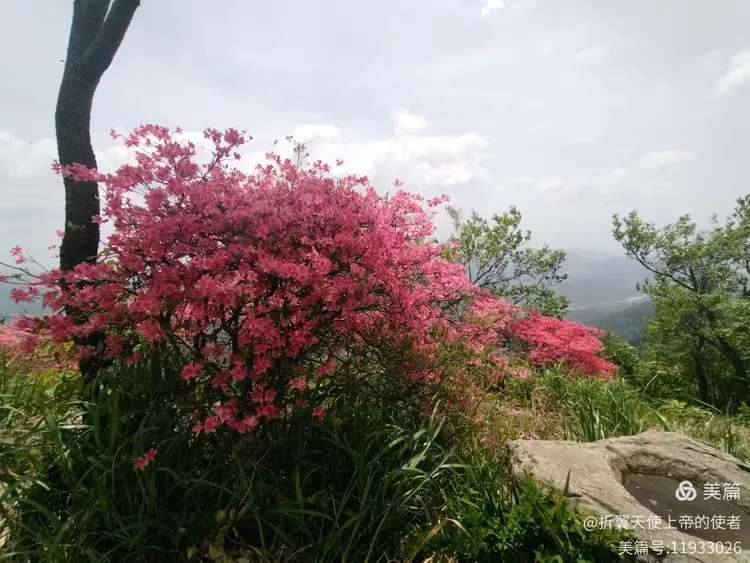 英山县天马寨风景区游记